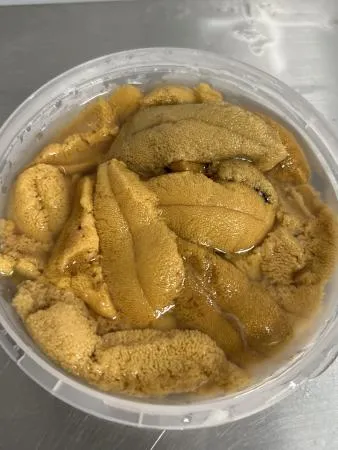 포항 구룡포 당일 조업 당일 출고 성게알 이미지