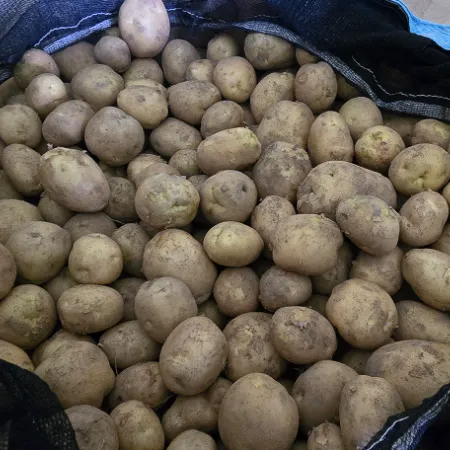 감자 (특) 3kg 국내산 1박스