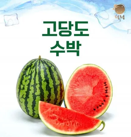 [넉넉] 부여 굿뜨레 꿀수박 당도선별 수박 4-5kg