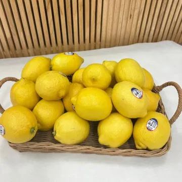 프리미엄 생 레몬 중과 20과