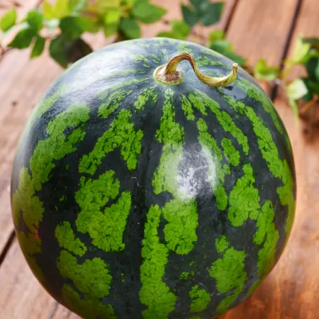 [넉넉] 고당도 경북 꿀수박 가정용 4-5kg