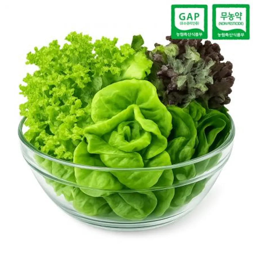 GAP인증 무농약 유러피안 쌈채소 1kg (3~5종 랜덤발송) 이미지