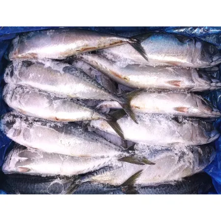 업소용 식당용 국산 손질 고등어 자반 30미 (각 300g~380g)