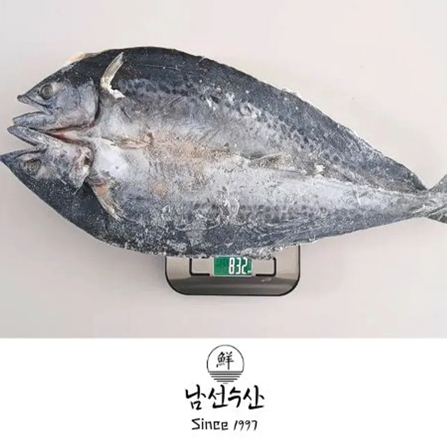 업소용 국산 손질 1-2단 삼치 자반 10미 (각 800g 내외) 이미지