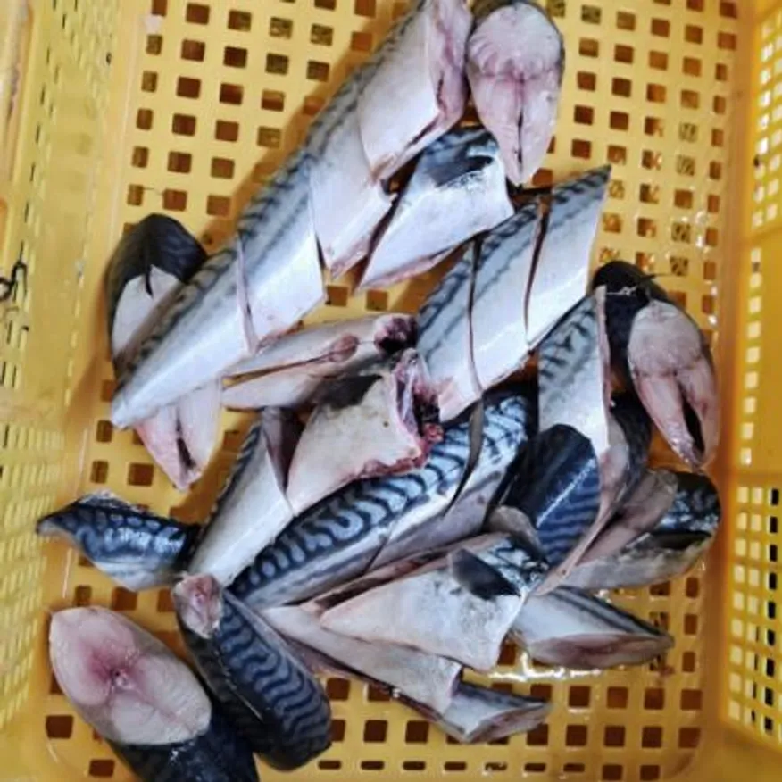 업소용 노르웨이 고등어 토막 조림용 9kg 이미지