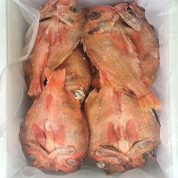 업소용 볼락 적어 자반 20kg 아이슬란드산 15미 왕특대 사이즈 (각 700g~1kg)