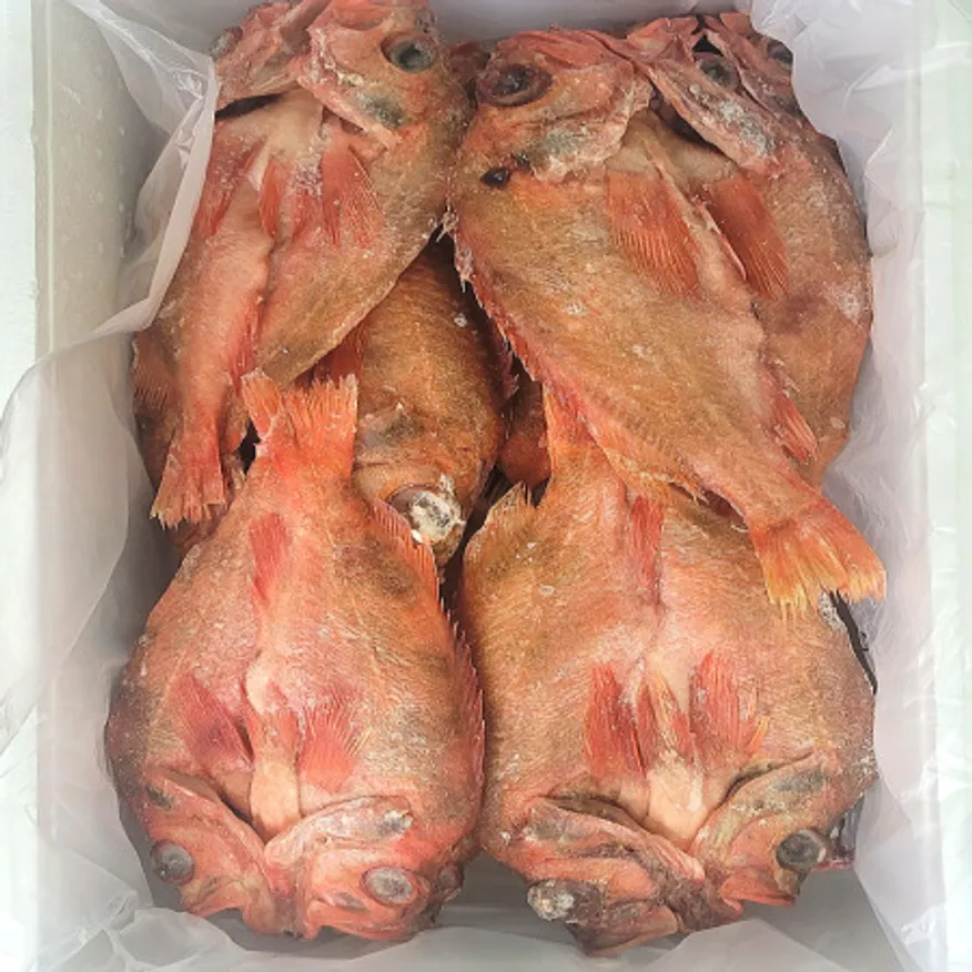 업소용 볼락 적어 자반 20kg 아이슬란드산 15미 왕특대 사이즈 (각 700g~1kg) 이미지