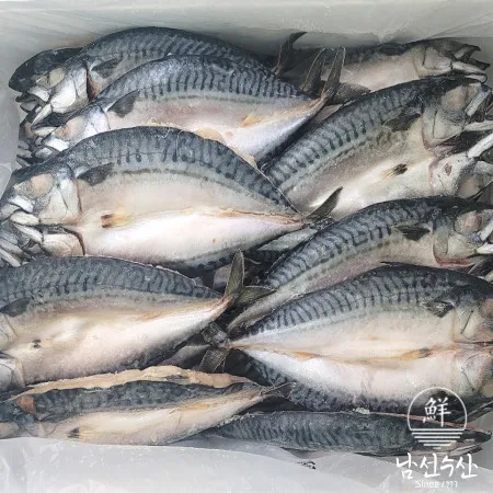 업소용 노르웨이 고등어 선망 최상급 5미 대 사이즈 (각 300g~380g)
