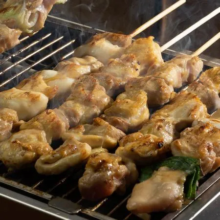 꼬치마트 순살닭꼬치 20cm 50g x 90개 1박스 이미지