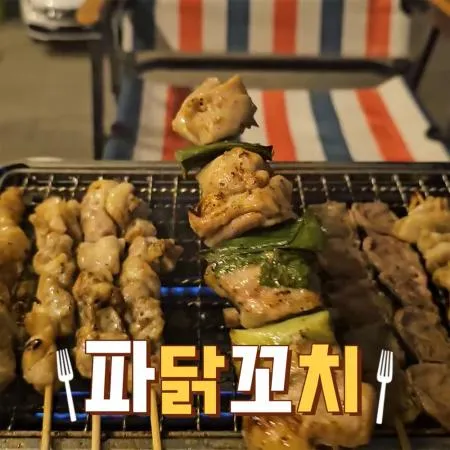 꼬치마트 파닭꼬치 30cm 125g x 50개 1박스  이미지