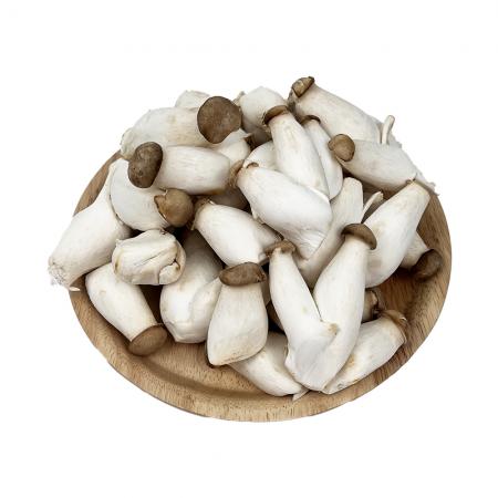 엄지새송이(국내산) 2kg/봉