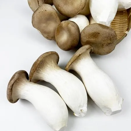 새송이버섯(국내산) 2kg/봉