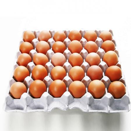 계란(중란/국내산) 30구/판