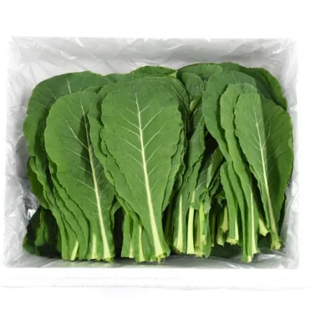 매일시장방문/케일 1kg (소분,국내산) 이미지