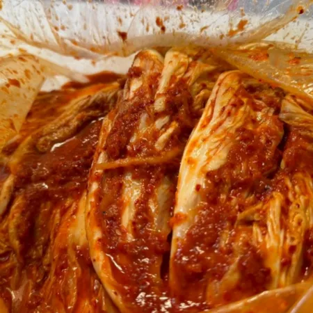 프리미엄 청정들 포기김치 수입 배추 김치 10kg / 아이스포장 무료 이미지
