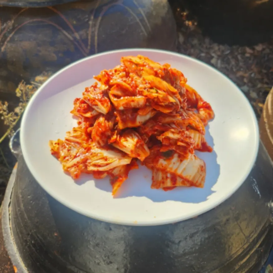 청정들 맛김치 썰은김치 10kg / 아이스포장 무료 이미지