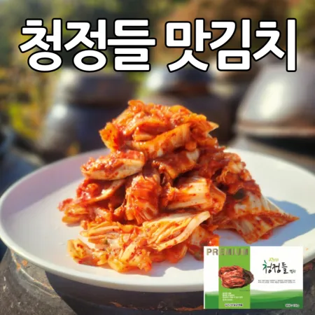 청정들 맛김치 썰은김치 10kg / 아이스포장 무료