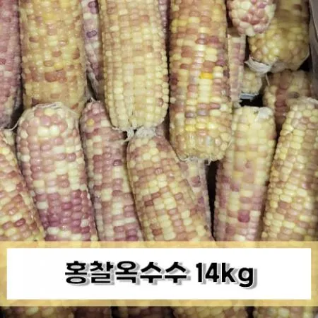 홍찰옥수수 14kg (80개입)