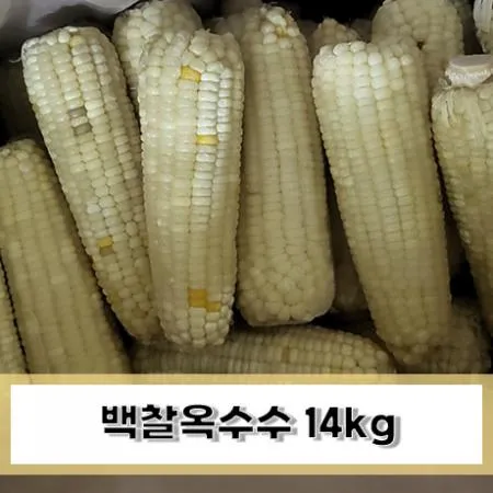 백찰옥수수 20kg (70개입)