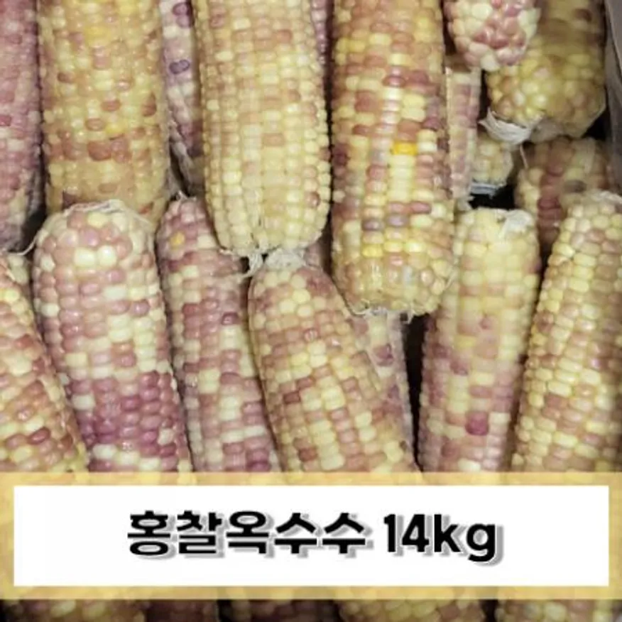 홍찰옥수수 14kg (60개입) 이미지