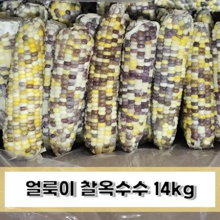 얼룩이옥수수 14kg (70개입)