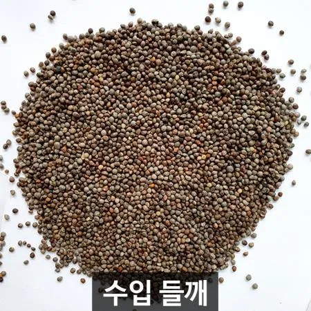 [더알찬곡물] 25년산 중국산 들깨 500g 생 깨