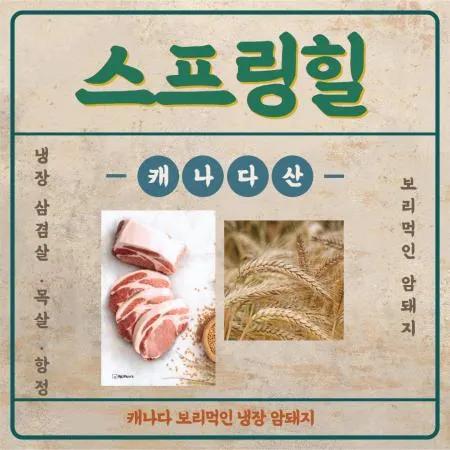 캐나다 스프링힐 냉장 돈육 대표 이미지