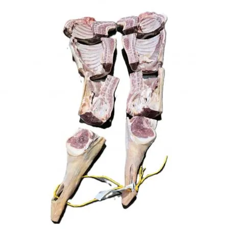 [냉동] 숫컷 염소절단지육_호주_세절 8컷_21kg_웨스턴미트 이미지