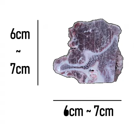 [냉동] 소목뼈_호주_세절(탕 및 해장국용)_30mm~50mm_20kg 이미지