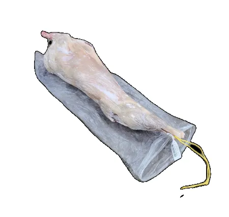 [냉동] 염소통마리_호주_마리_21kg_웨스턴미트 껍질 있음,SKIN ON 어린염소 이미지