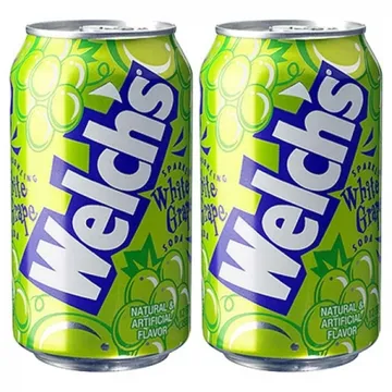 농심 웰치스 청포도 355ml*24