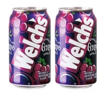 농심 웰치스 포도 355ml*24