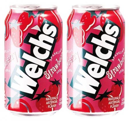 농심 웰치스 딸기 355ml*24