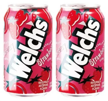 농심 웰치스 딸기 355ml*24