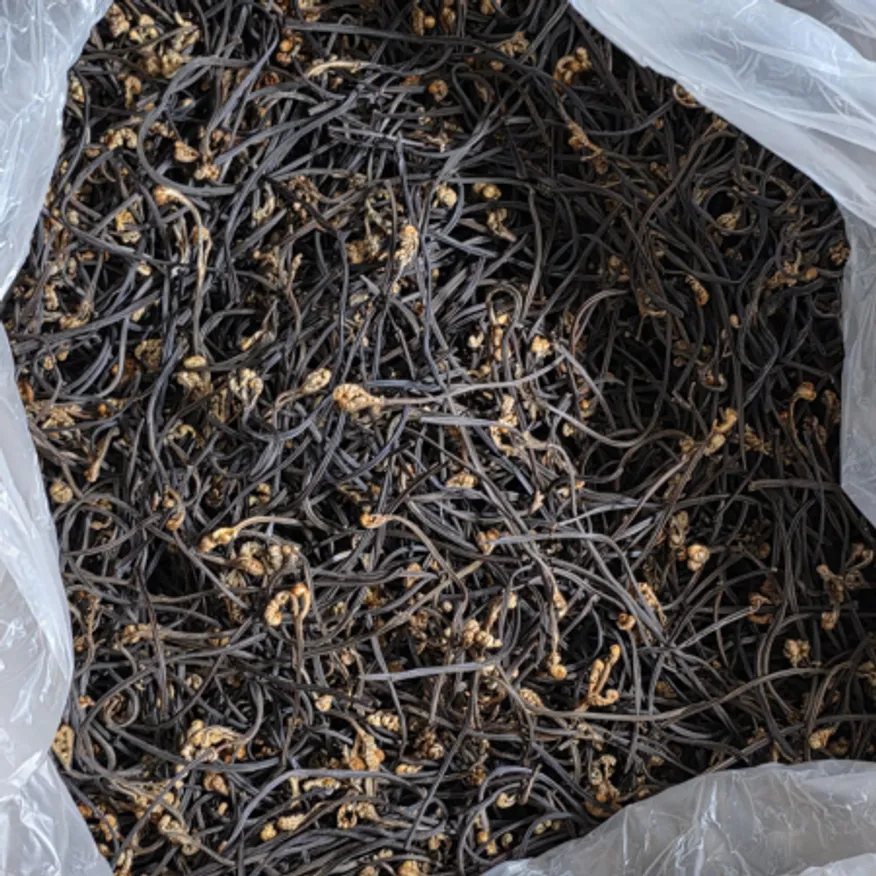 늘봄 중국산 건고사리 1kg 이미지
