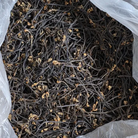 늘봄 중국산 건고사리 1kg 이미지
