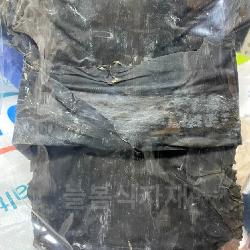 해양수산 상어표 부산기장 뭉치다시마 300g 이미지