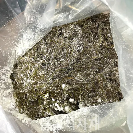 늘봄 염장 꼬시래기 10kg 완도산 벌크 꼬시래기무침