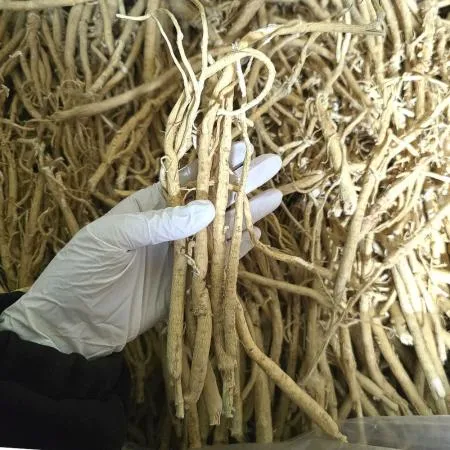 늘봄 황기 1kg (삼계탕재료/통황기)