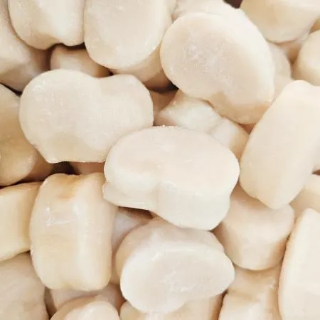 냉동 키조개 관자 10kg 16/20 가이바시 키조개살 개아지살 삼합 버터구이 이미지