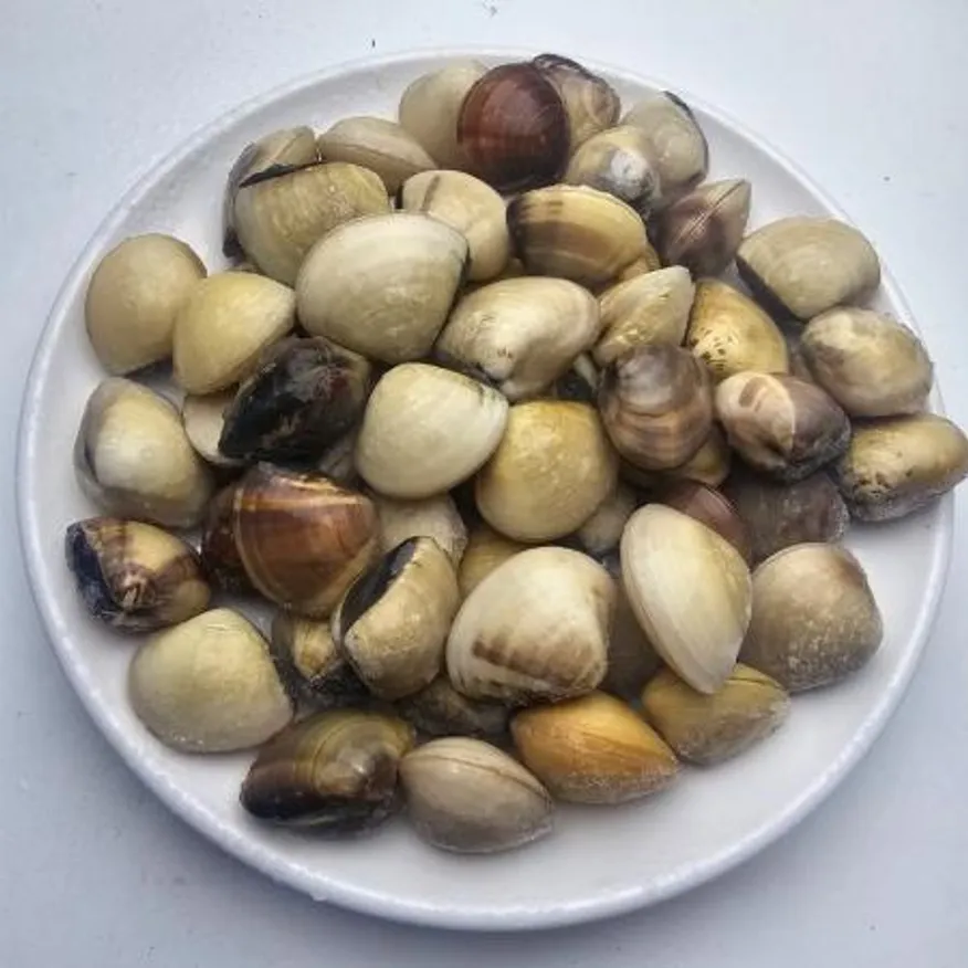 백합조개 5kg 베트남 식당 업소용 이미지