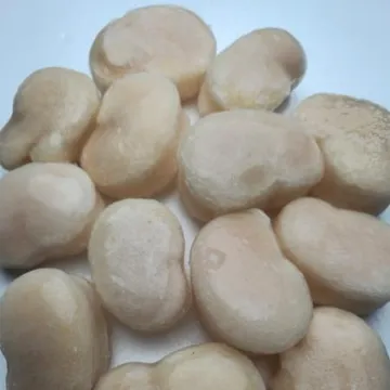 냉동 키조개 관자 1kg 11/15 가이바시 키조개살