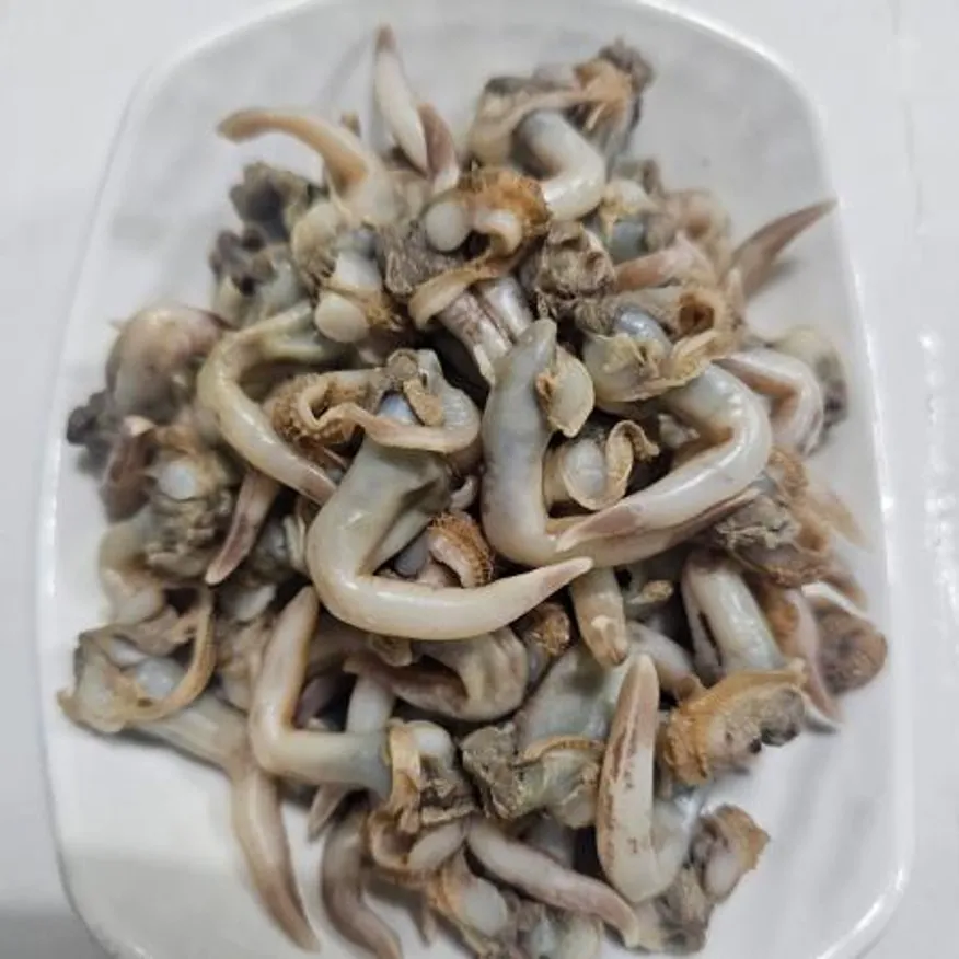 냉동 자숙 새조개살 10kg (1kgx10팩) 이미지