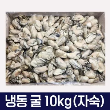 통영굴 냉동굴 10kg 벌크