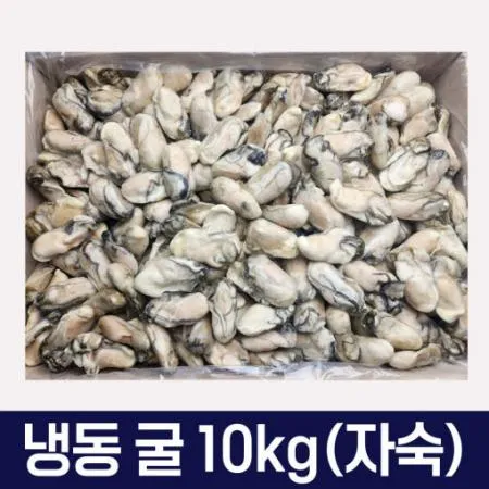통영굴 냉동굴 10kg 벌크