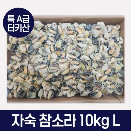 최상급 특A급 터키 참소라10kg L 피뿔고동살 소라살 업소용 도매용 벌크