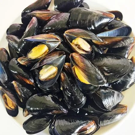 국내산 손질 세척 냉동 자숙 피홍합 10kg 이미지