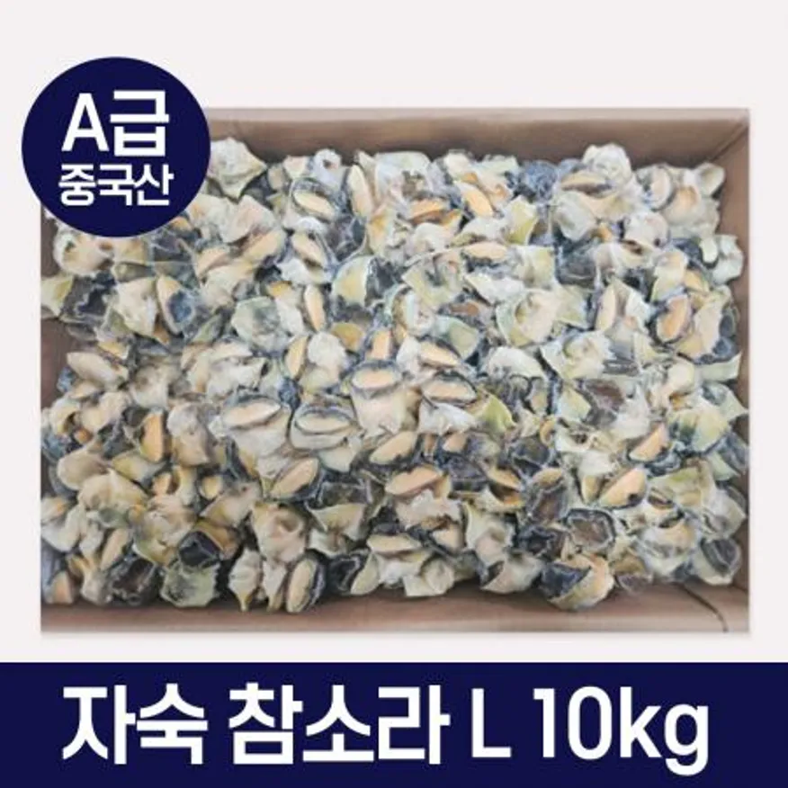 A급 참소라10kg L 피뿔고동살 소라살 업소용 도매용 벌크 이미지