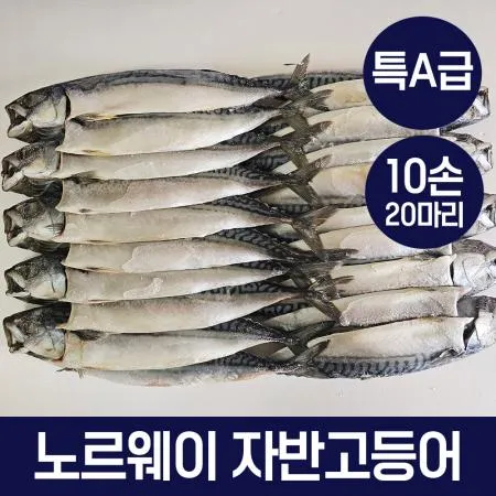 특A급 노르웨이 자반 고등어 특대 10손 20마리 업소용 손질 간고등어 구이 도매