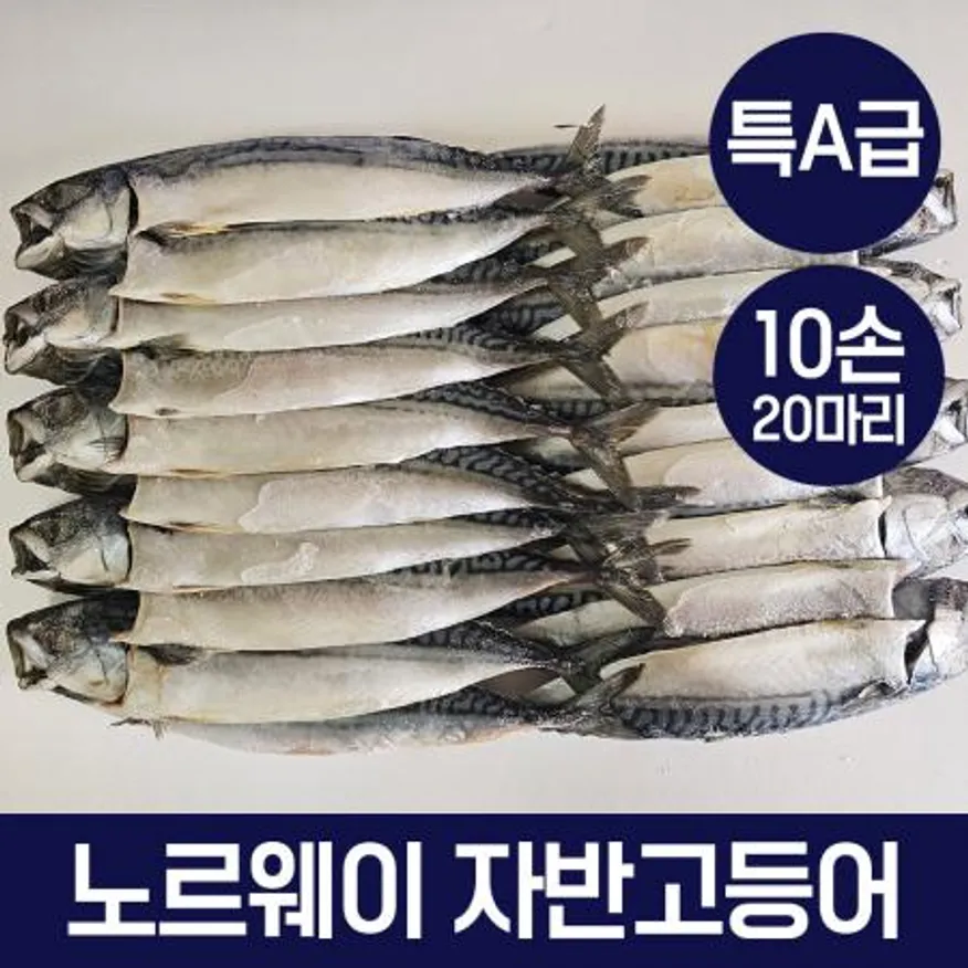 특A급 노르웨이 자반 고등어 특대 10손 20마리 업소용 손질 간고등어 구이 도매 이미지